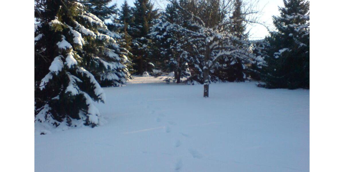 Bungalow Leipzig Südwest - 1 Zimmer, 50 m&sup2;, 80.000&euro; | Angebot:26151892