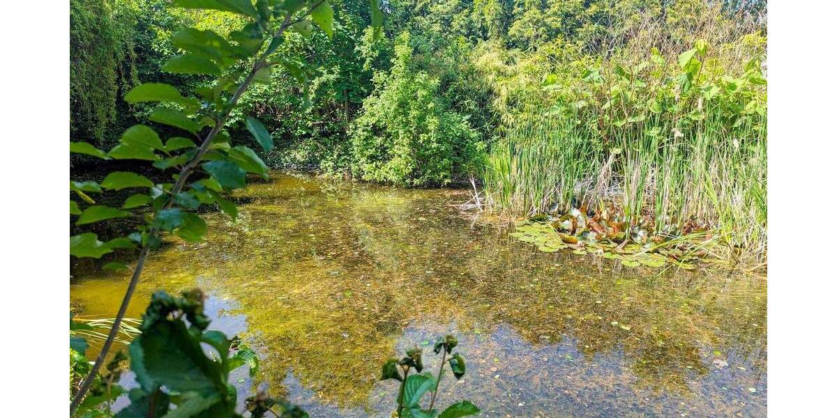 Grundstück Zwenkau - 399.000&euro; | Angebot:25673755