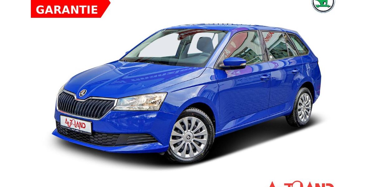 Skoda Fabia 65.000 km 13.990 &euro; Brehna 06796