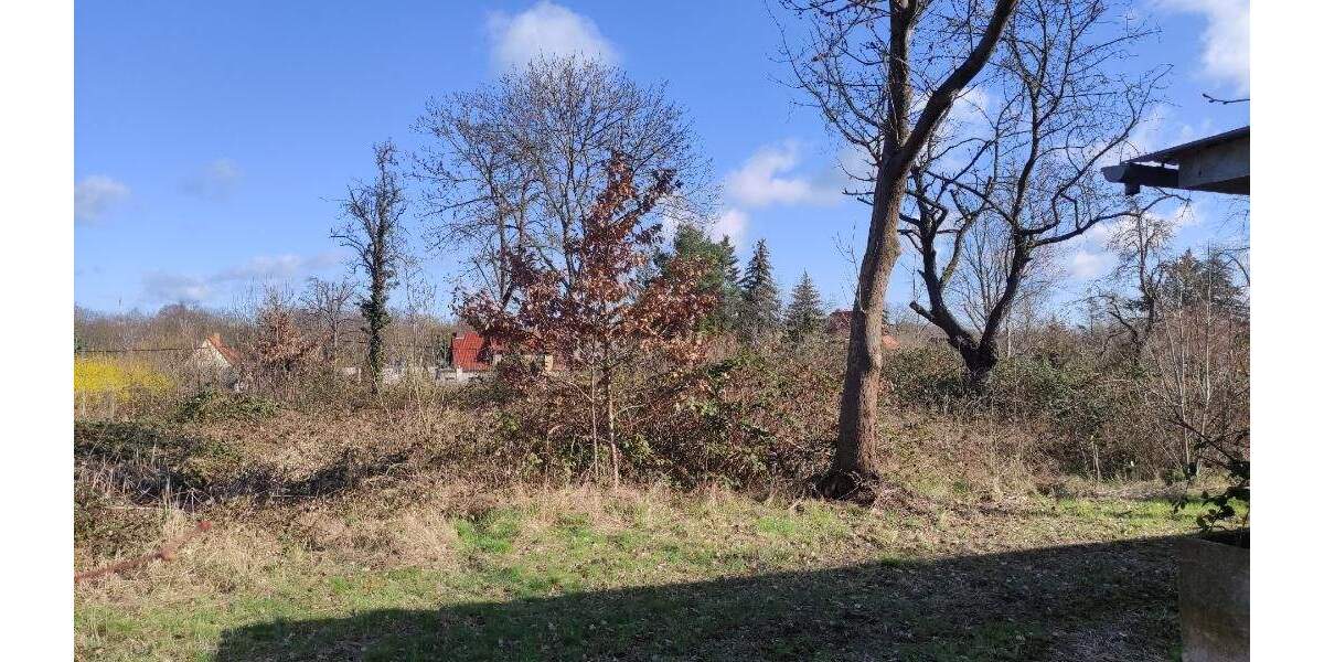 Grundstück Machern - 185.000&euro; | Angebot:25738685