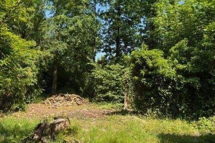 Grundstück Machern - 368.000&euro; | Angebot:25748548