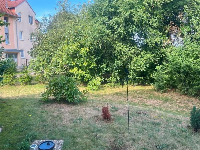 Attraktive Singlewohnung mit großem Gartenanteil, EBK und Stellplatz zimmer