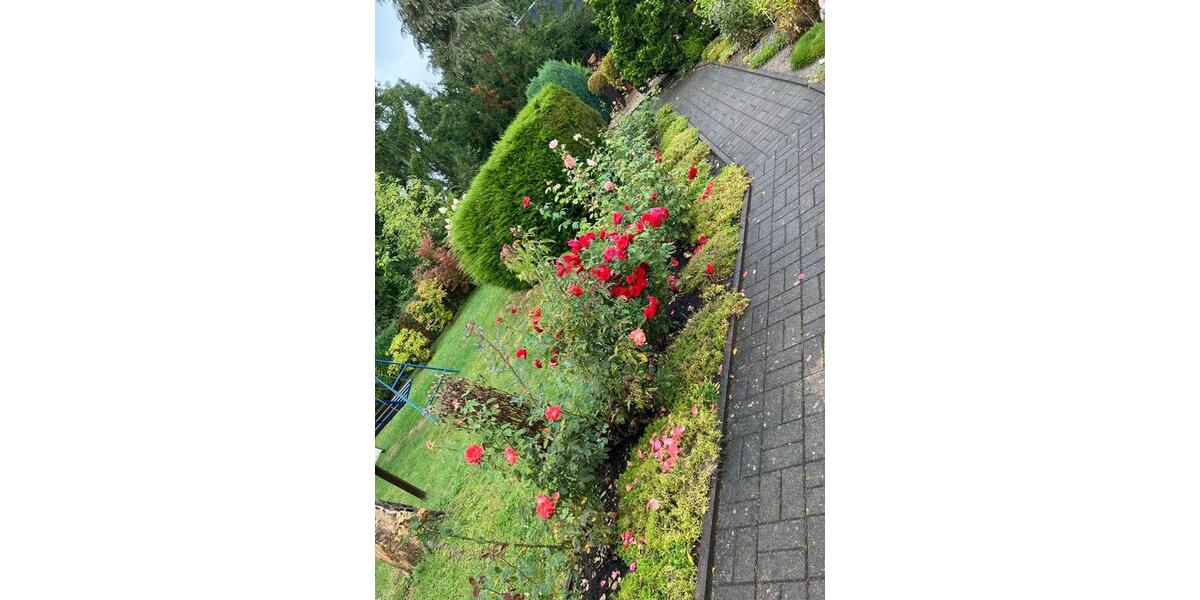 Einfamilienhaus Leipzig Mitte - 3 Zimmer, 45 m&sup2;, 43.700&euro; | Angebot:27141313