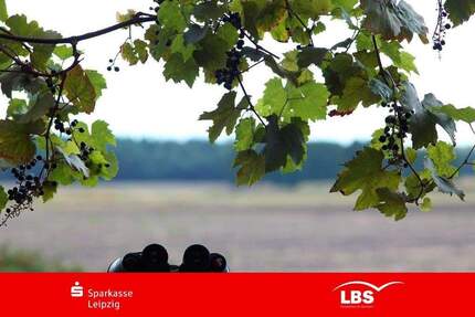 Grundstück Zschepplin Naundorf - 120.000&euro; | Angebot:25735539