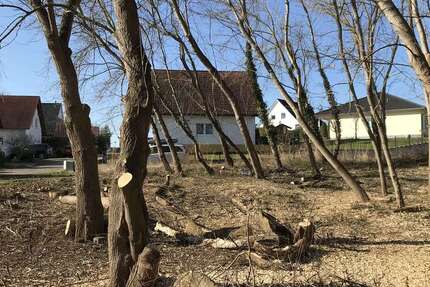 Grundstück Hohenmölsen Taucha - 49.000&euro; | Angebot:19922972