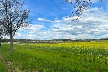 Grundstück Grimma - 895.000&euro; | Angebot:25741574