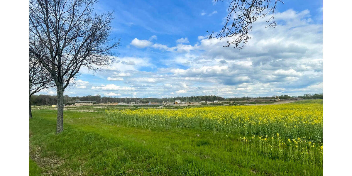 Grundstück Grimma - 895.000&euro; | Angebot:25741574