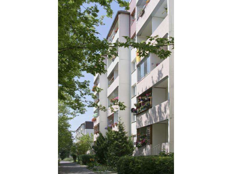 Wohnung zum Mieten in Halle (Saale) 226 € 35.77 m²