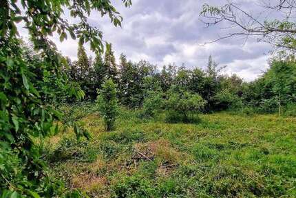 Grundstück zu verkaufen in Landsberg 129.900 € 2418 m² zimmer