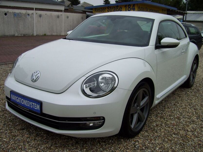 Beetle