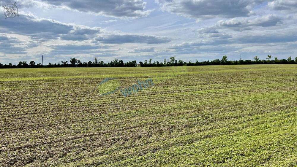 Doppelhaushälfte Leipzig Großzschocher - 5 Zimmer, 160 m&sup2;, 465.000&euro; | Angebot:25142371