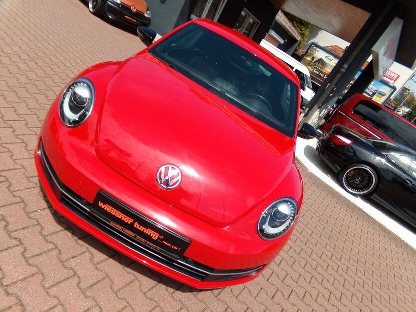 Beetle