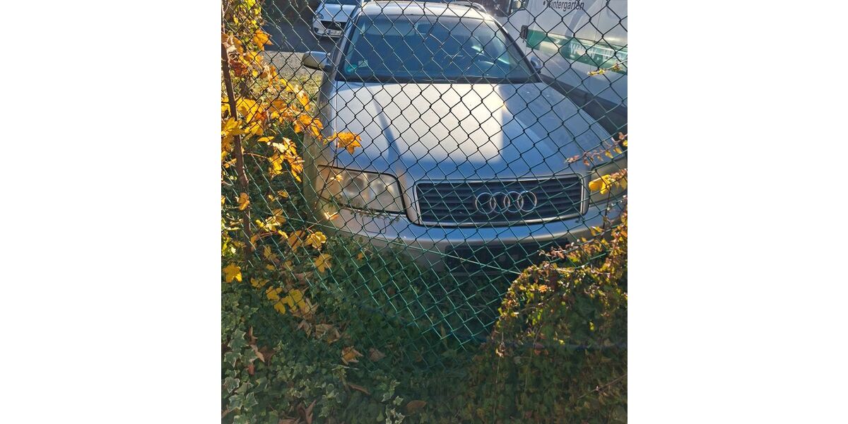 Audi A6 470.000 km 1.999 &euro; Wurzen 04808