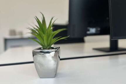 Gewerbeobjekt Lützen - 699&euro; | Angebot:25788676