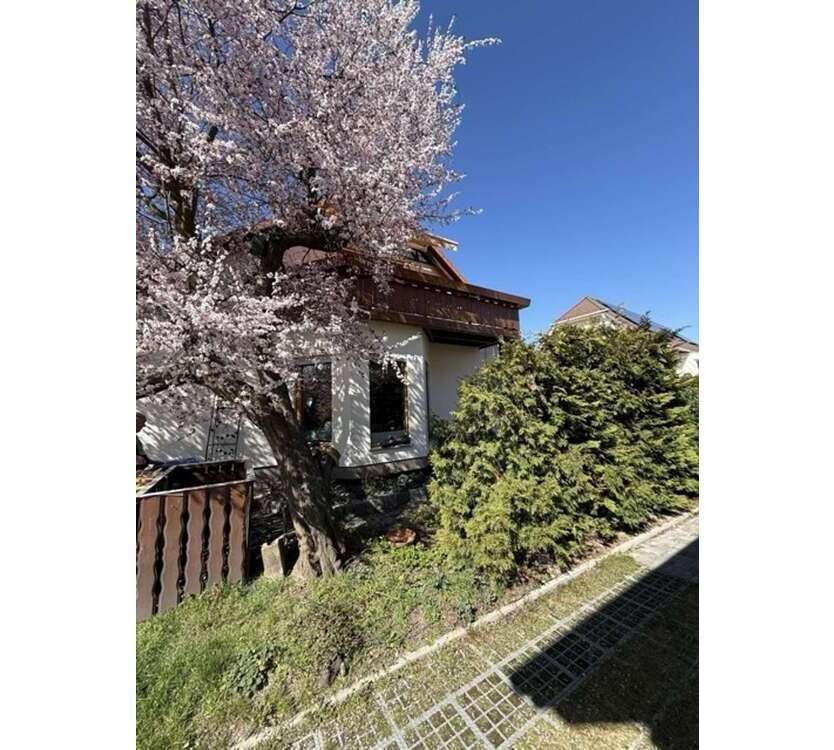 Wohnung zum Mieten in Wurzen 390 € 60 m²