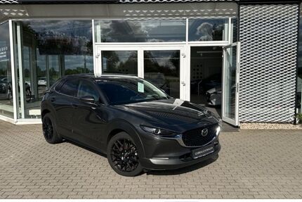 Mazda CX-30 60.192 km 24.770 € Delitzsch 04509