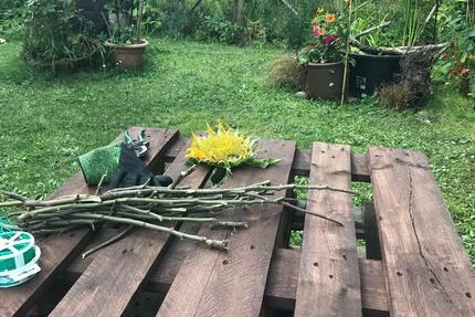 Zimmer in spezieller Gemeinschaft 20 zimmer