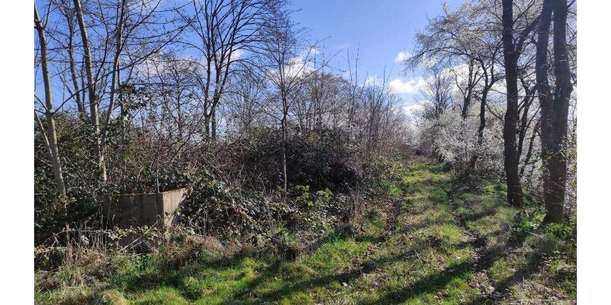 Grundstück Machern - 185.000&euro; | Angebot:25738685