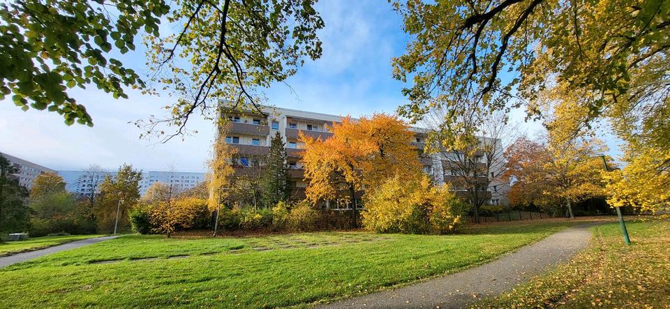 4 Zimmer Wohnung zur Miete Weißdornstraße 10 Grünau Ost Leipzig 4 zimmer
