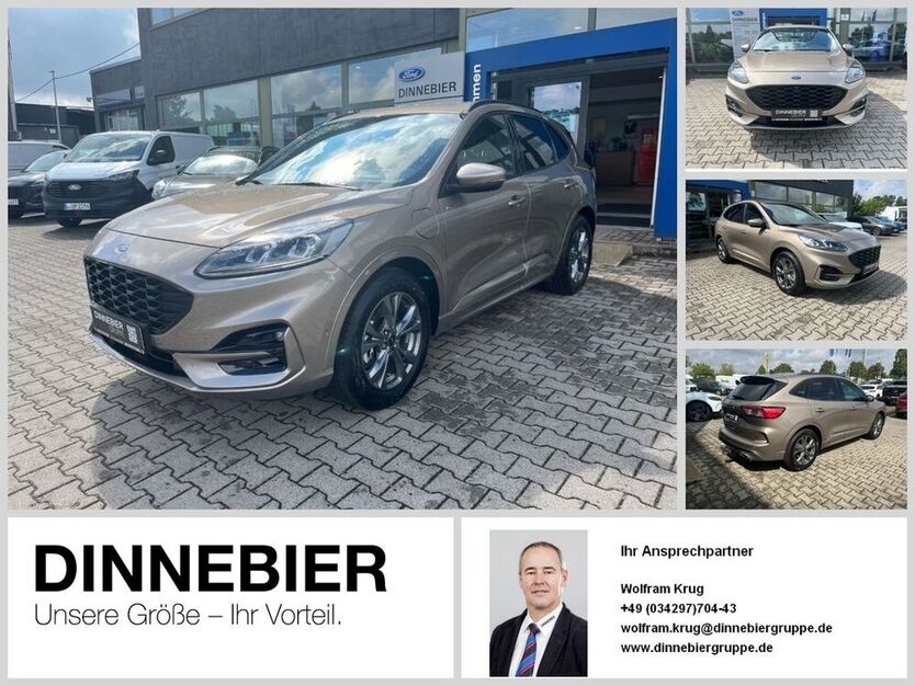 Kuga