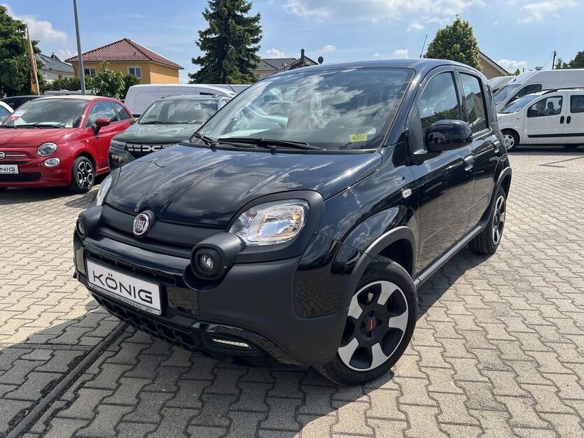 Panda