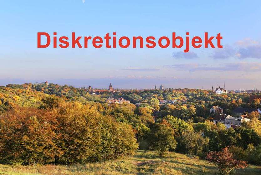 Wohnung zum Kaufen in Halle (Saale)-Giebichenstein 665.000 € 160 m² 4 zimmer