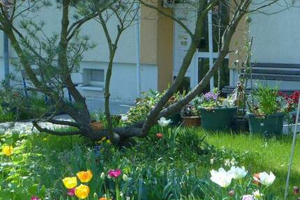 Wohnung Borna - 2 Zimmer, 48 m&sup2;, 318&euro; | Angebot:25226677