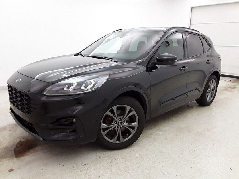 Kuga