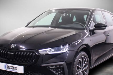 Skoda Scala 18.470 km 23.866 &euro; Brandis 04821