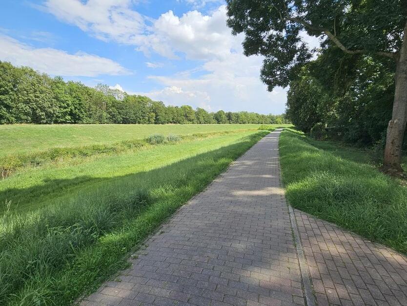 Hochwertig sanierte 3-Zimmer Wohnung in grüner Umgebung am Stadtrand von Leipzig zimmer