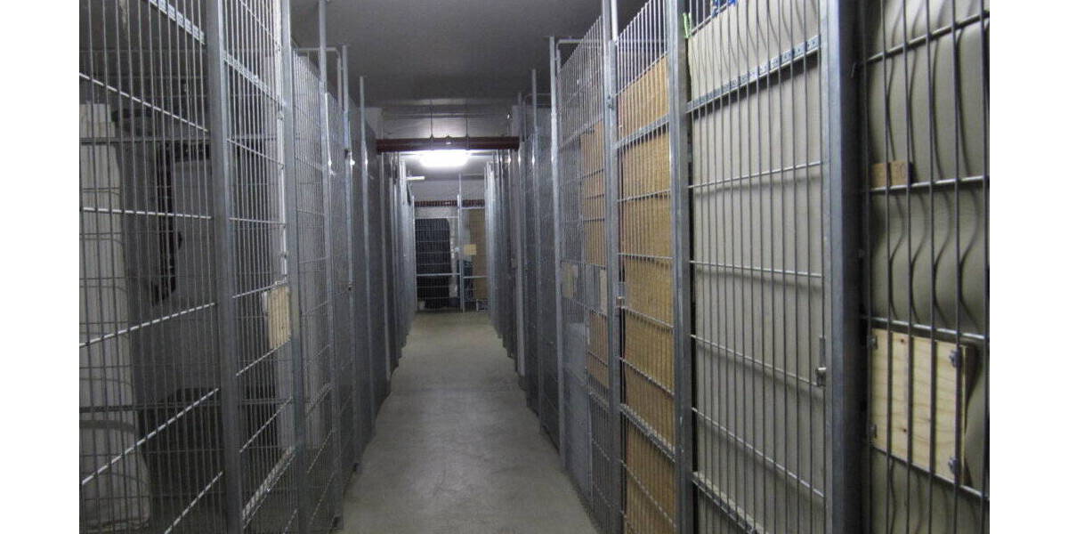 Etagenwohnung Leipzig Kleinzschocher - 4 Zimmer, 104 m&sup2;, 339.000&euro; | Angebot:25957330