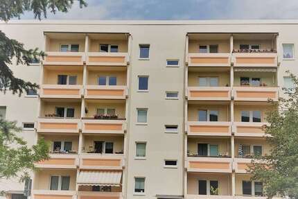 Wohnung zum Mieten in Wurzen 220 € 37.5 m² 1 zimmer