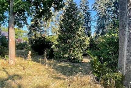 Grundstück Brandis - 495.000&euro; | Angebot:22236429