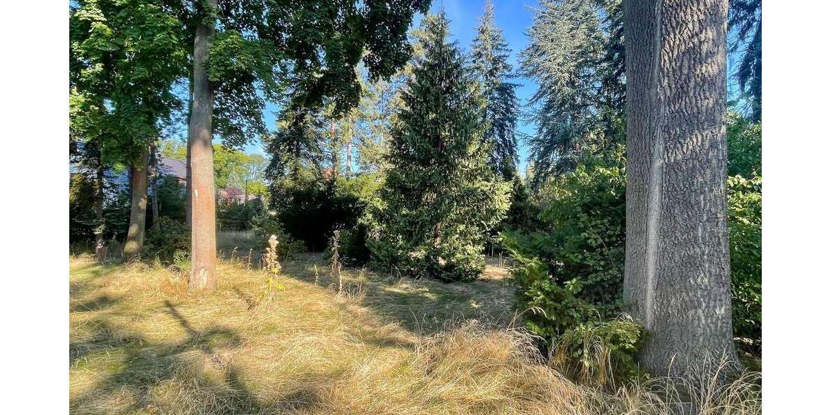 Grundstück Brandis - 495.000&euro; | Angebot:22236429