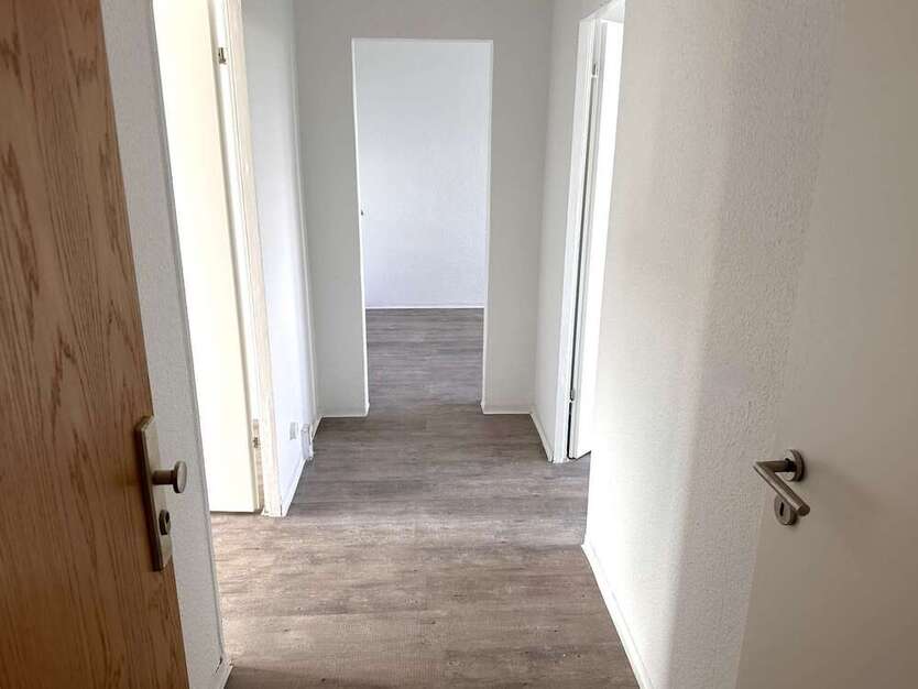 Wohnung zum Mieten in Bad Düben 370 € 58 m²