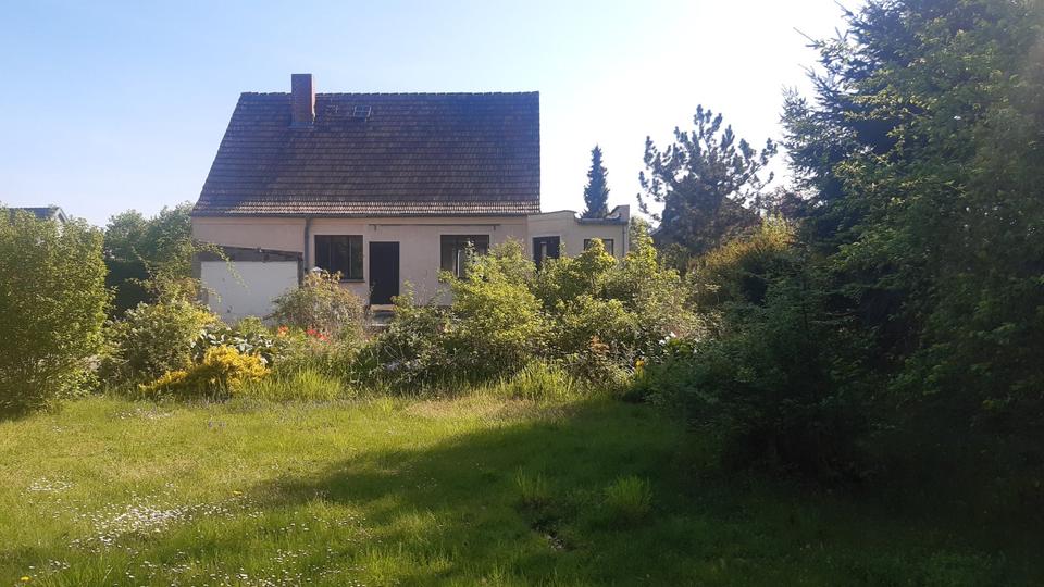 Einfamilienhaus Naunhof - 379.000&euro; | Angebot:19527063