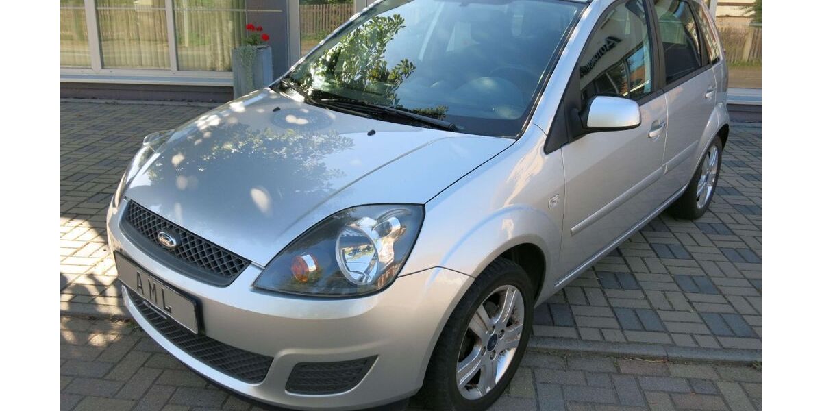 Ford Fiesta 68.000 km 3.990 &euro; Lucka 04613