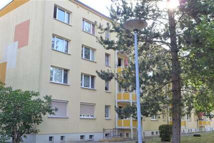 Wohnung zum Mieten in Borna 270 € 44.95 m² 2 zimmer