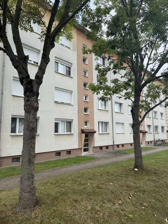 Wohnung zum Kaufen in Zwenkau 280.000 € 105 m²