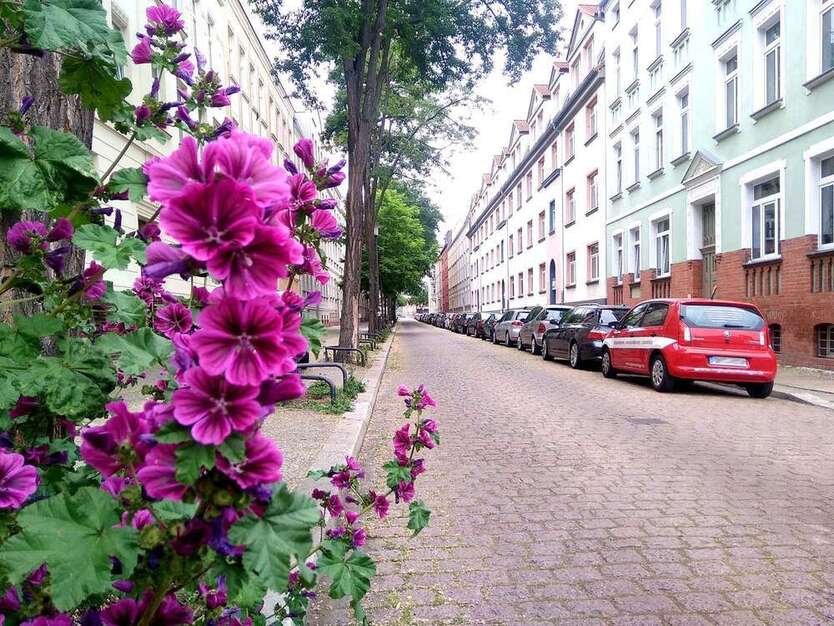 Wohnung zum Mieten in Halle 428 € 57 m²