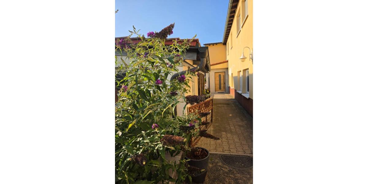 Doppelhaushälfte Markranstädt - 6 Zimmer, 217 m&sup2;, 422.000&euro; | Angebot:27083024