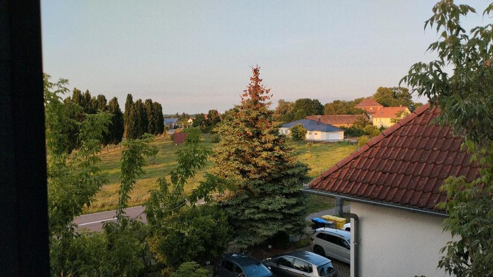 gepflegte, helle Dachgeschoss Wohnung mit Blick ins Grüne 2 zimmer