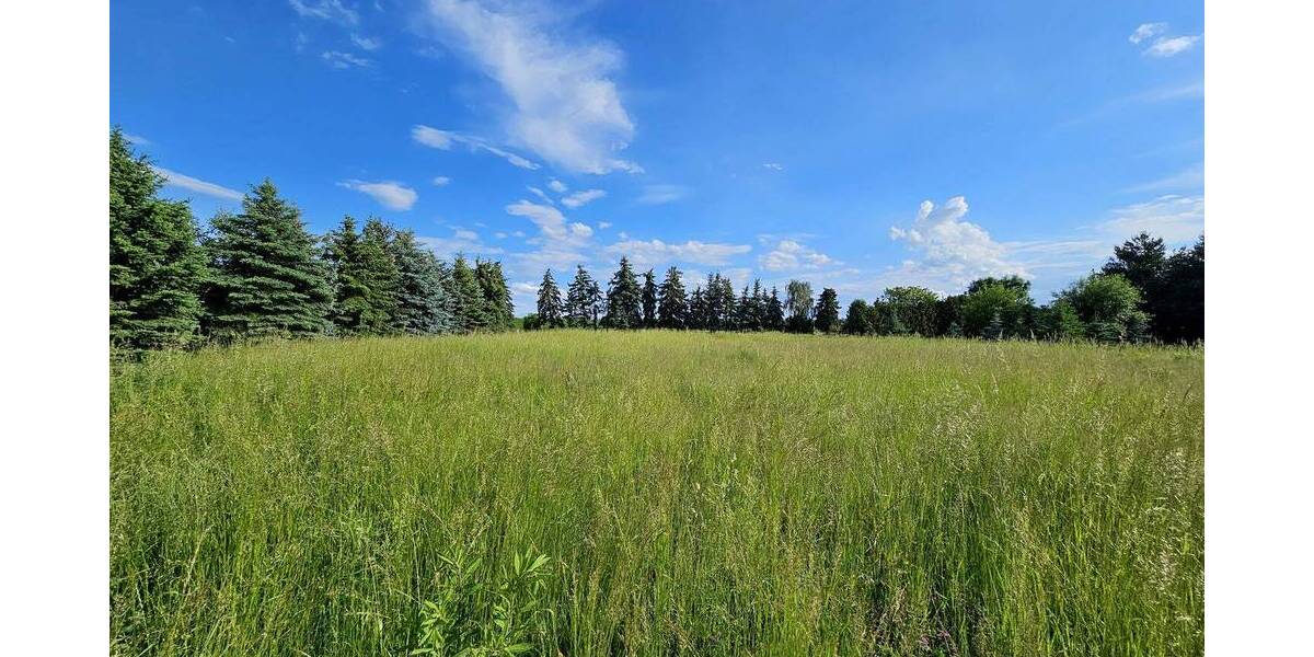 Grundstück Leipzig Holzhausen - 899.000&euro; | Angebot:25958963