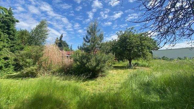 Bungalow Leipzig Holzhausen - 2 Zimmer, 73 m&sup2;, 299.950&euro; | Angebot:25673878