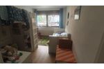 Provisionsfrei* Haus in Luppenau: ruhige Lage mit Wintergarten, Kamin & Weitblick - Einfamilienhaus Schkopau Luppenau | Angebot:26808442
