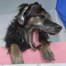 Werkstatt: Knallkrebs, Kuckuck & Co 16.04.2026 LOFFT - DAS THEATER, Leipzig