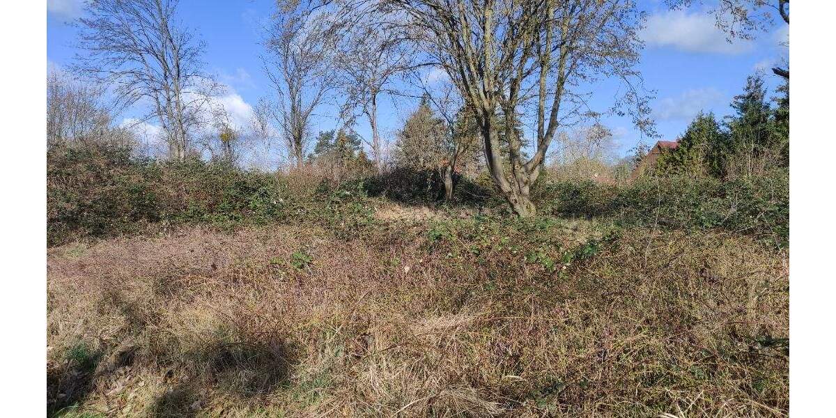 Grundstück Machern - 185.000&euro; | Angebot:25738685