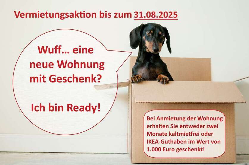Wohnung zum Mieten in Halle 550 € 68 m²