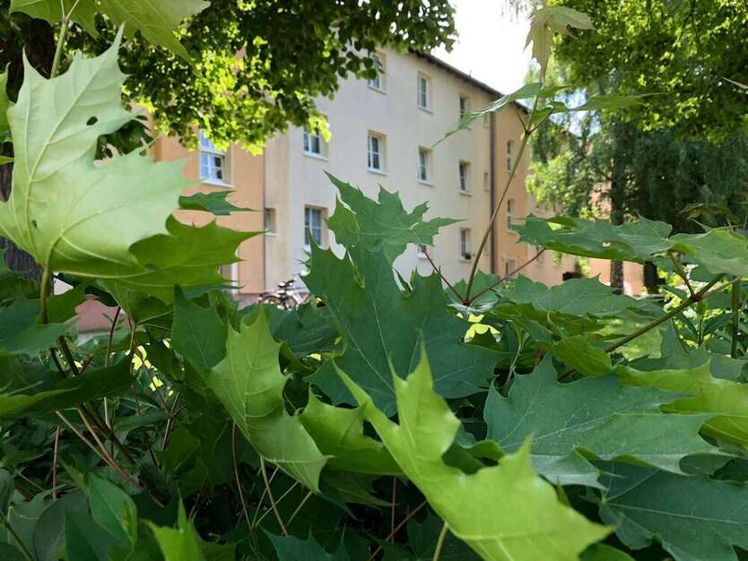 Wohnung zum Mieten in Rötha 510 € 84.64 m²