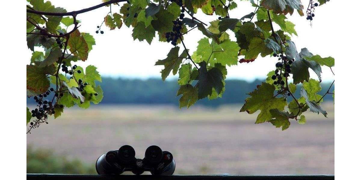 Grundstück Zschepplin Naundorf - 120.000&euro; | Angebot:23111879